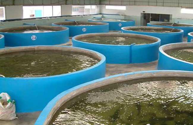 Aquaculture.jpg